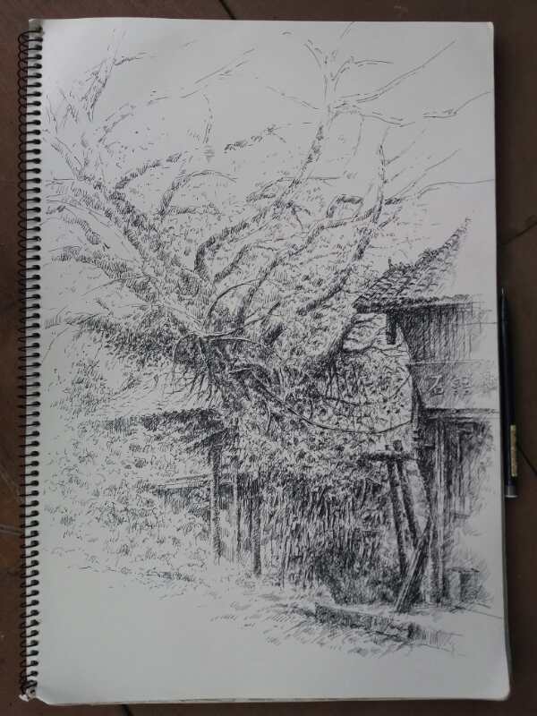 幸福原创画吧（7月24日）画友习作分享