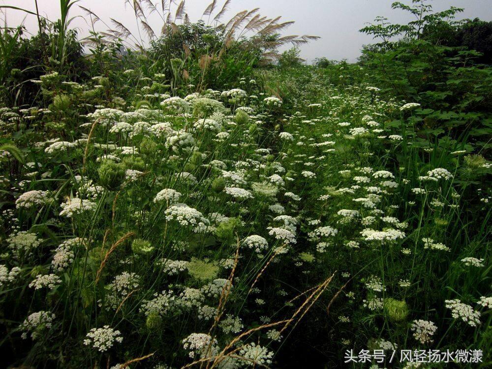 周易最简单入门,周易起卦详细步骤