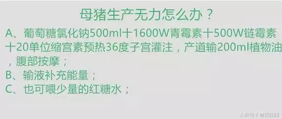 100万养猪场方案,养猪技术教程母猪难产怎么办