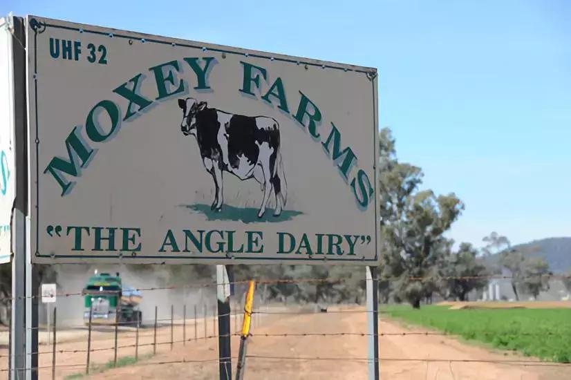 澳大利亚ax奶粉怎么样,澳大利亚奶粉是假的吗