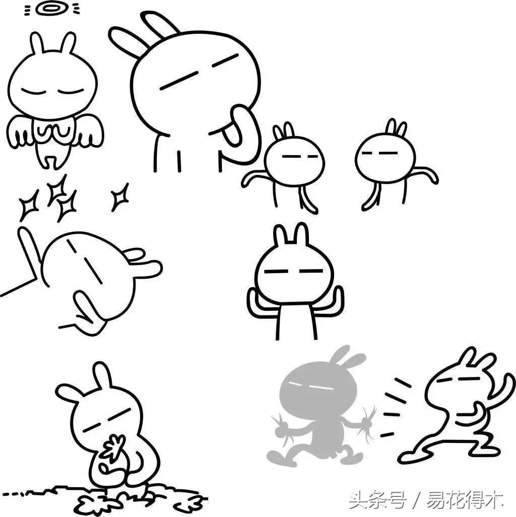 多肉推荐：“兔斯基”碧光环的鉴赏养护