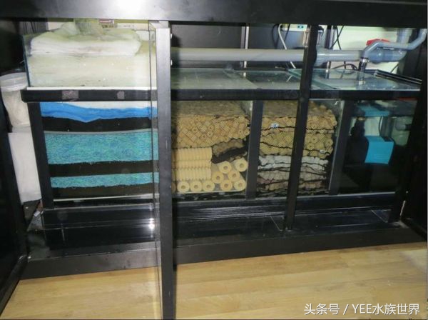 鱼缸不换水能加一点点高锰酸钾吗,鱼缸不换水杀菌