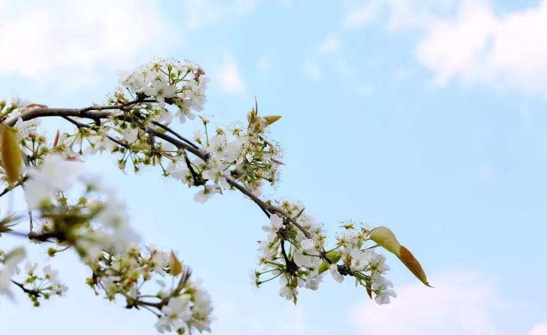 前三季度昆明各区县gdp,昆明各区县gdp