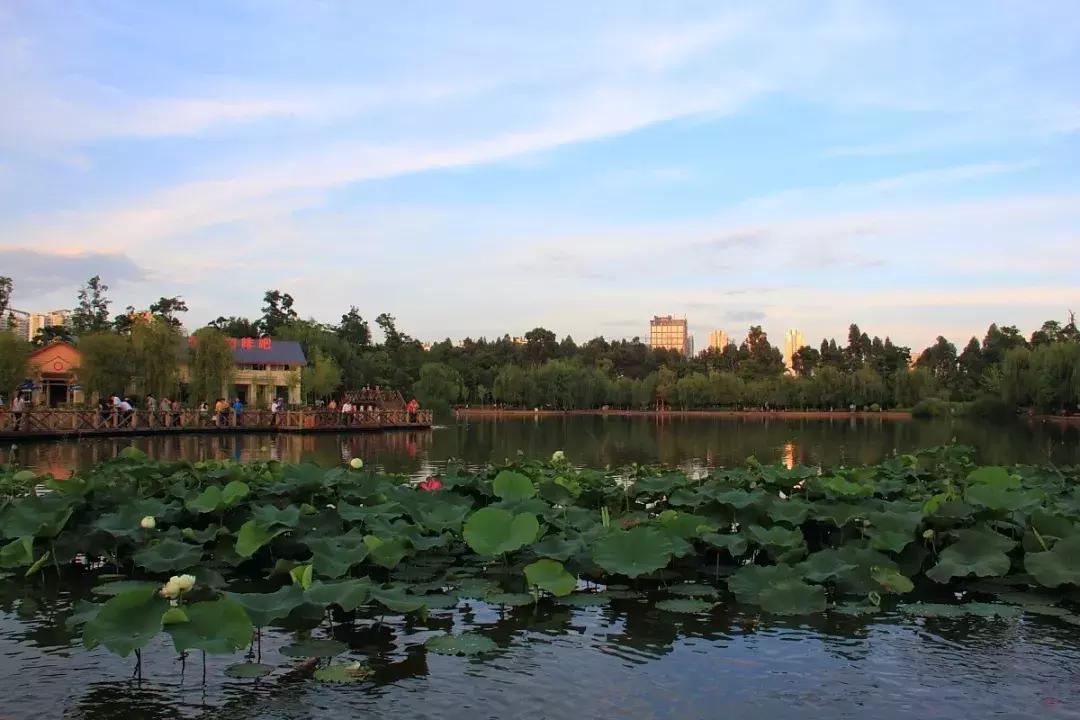 前三季度昆明各区县gdp,昆明各区县gdp