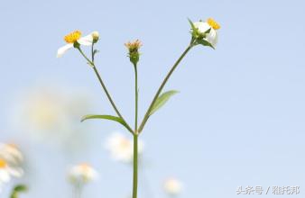在国外这几个词绝对要慎用！