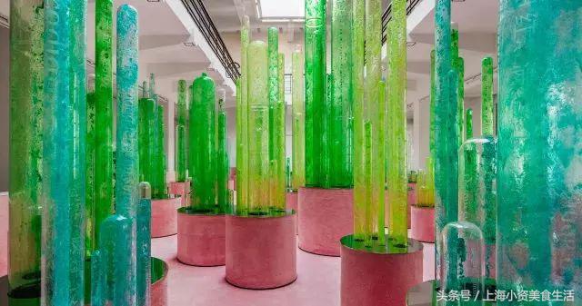 魔都小仙女:30次粉色暴击燃爆你的少女心!