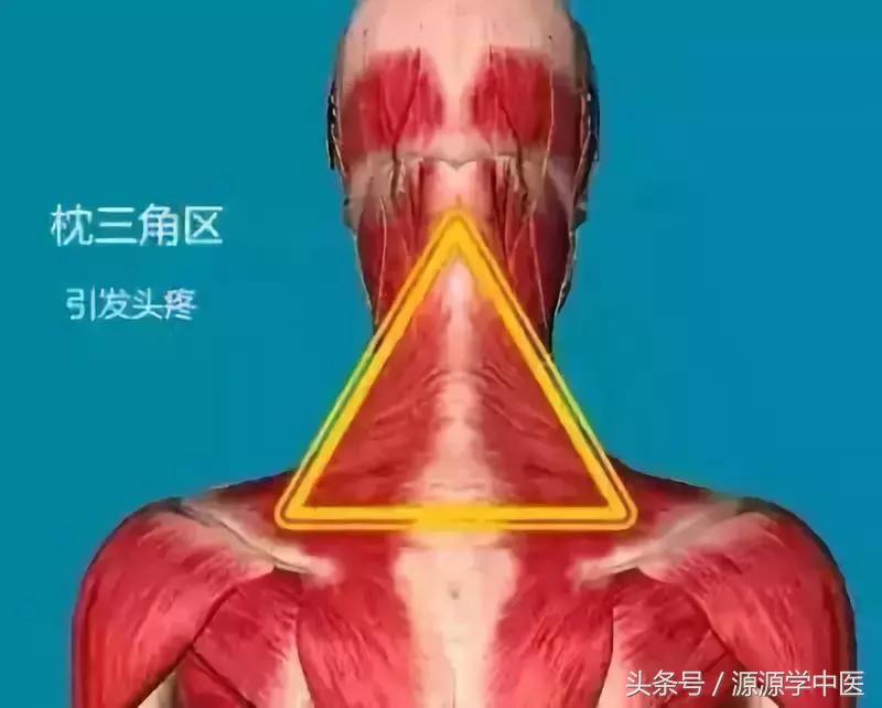 人体九大黄金穴位,人体九大黄金穴位图