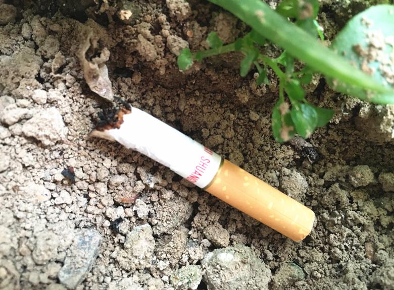 教你一个清洁小妙招,只需烟头加上洗洁精用水泡一下,简单又实用