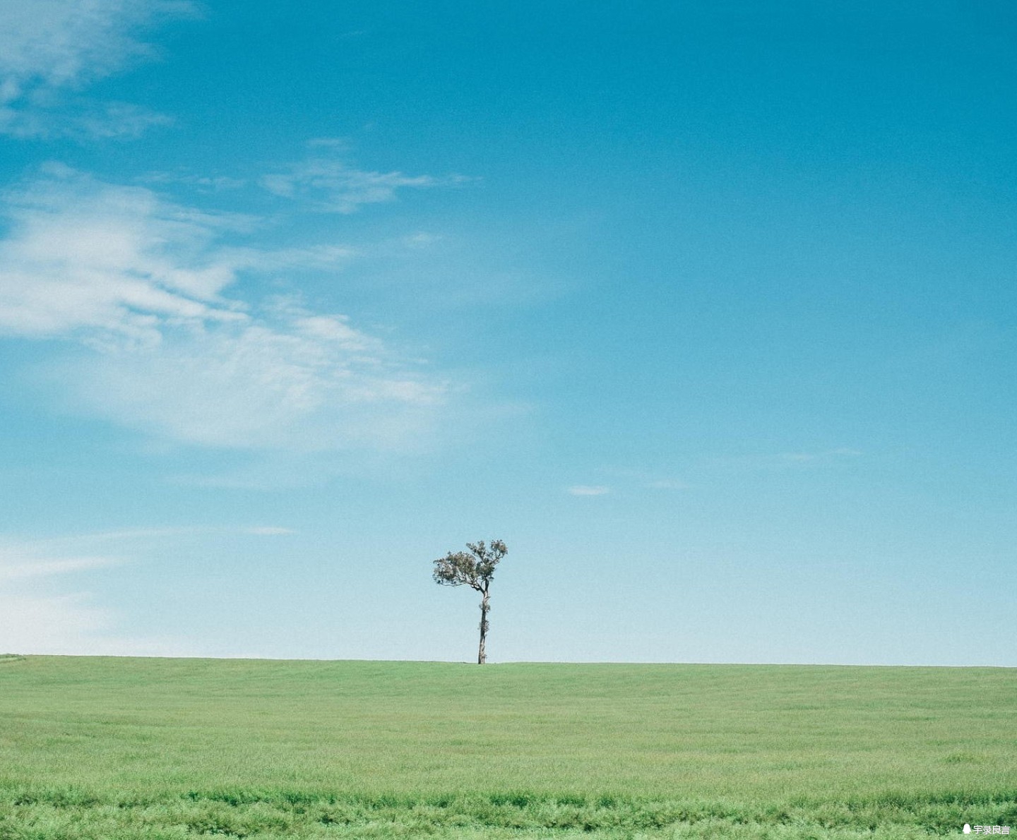 正能量文章搞笑的句子短句,有深度有品味的句子发朋友圈搞笑
