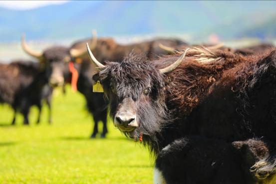 EOS看世界选择,让你看到如此不同的摩登新语