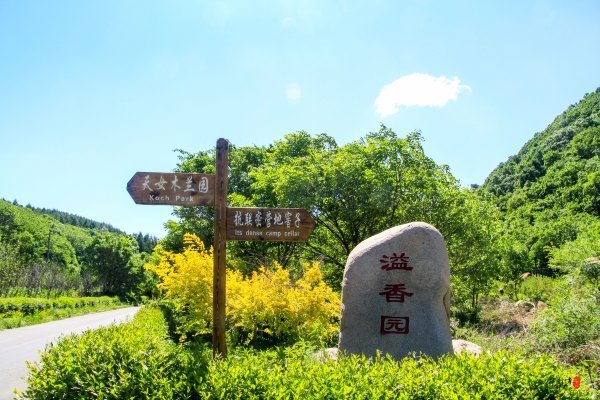 涓囧瓧鏀荤暐,涓囧瓧瑙ｆ瀽鏀荤暐