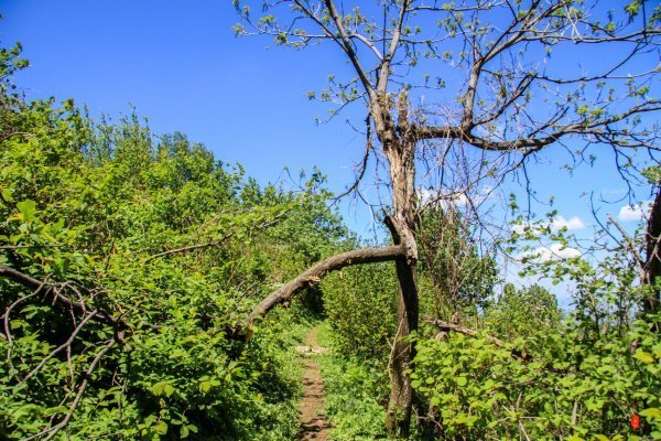 涓囧瓧鏀荤暐,涓囧瓧瑙ｆ瀽鏀荤暐