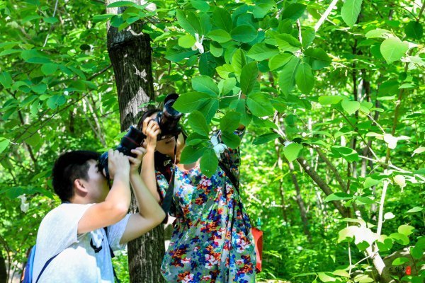 涓囧瓧鏀荤暐,涓囧瓧瑙ｆ瀽鏀荤暐