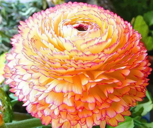 今天是7月26日，千载难逢的要顺日，吉利的祝福送给你，越快打开越好