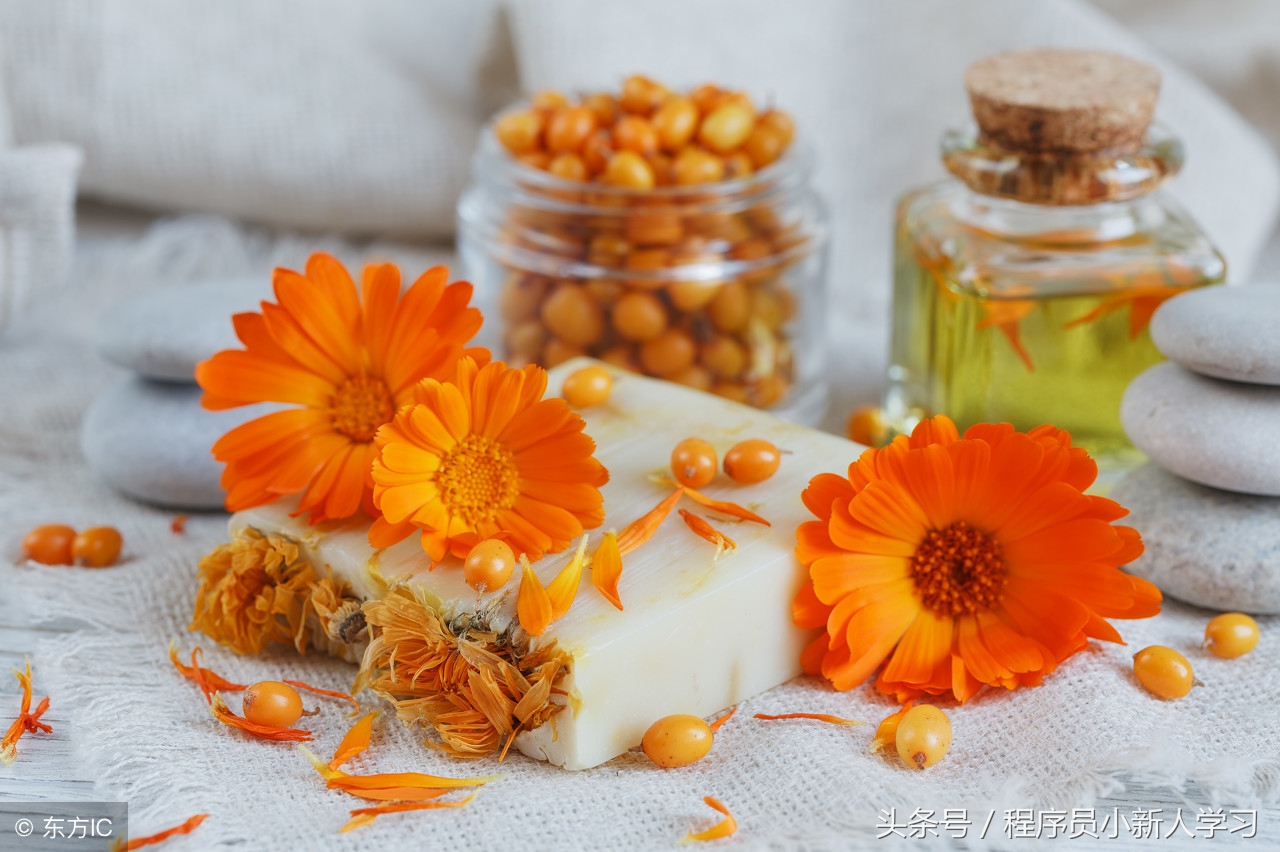 layui动态加载子表,layui页面加载时间过长