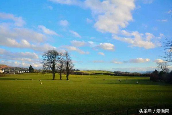 四川浮云牧场旅游攻略,成都浮云牧场好玩吗