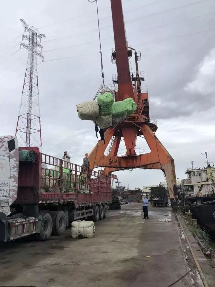 恶心！数百吨韩国人扔掉的旧衣服在浙江被截！你淘来的名牌货，可能暗藏各种细菌