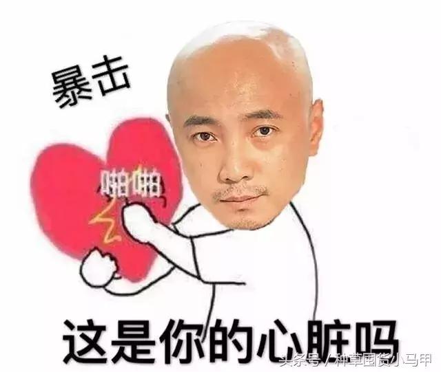 cosme哪个值得买,cosme口碑最好的产品