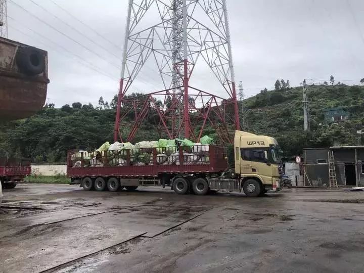怎么区分是否洋垃圾衣服,如何分辨洋垃圾服装