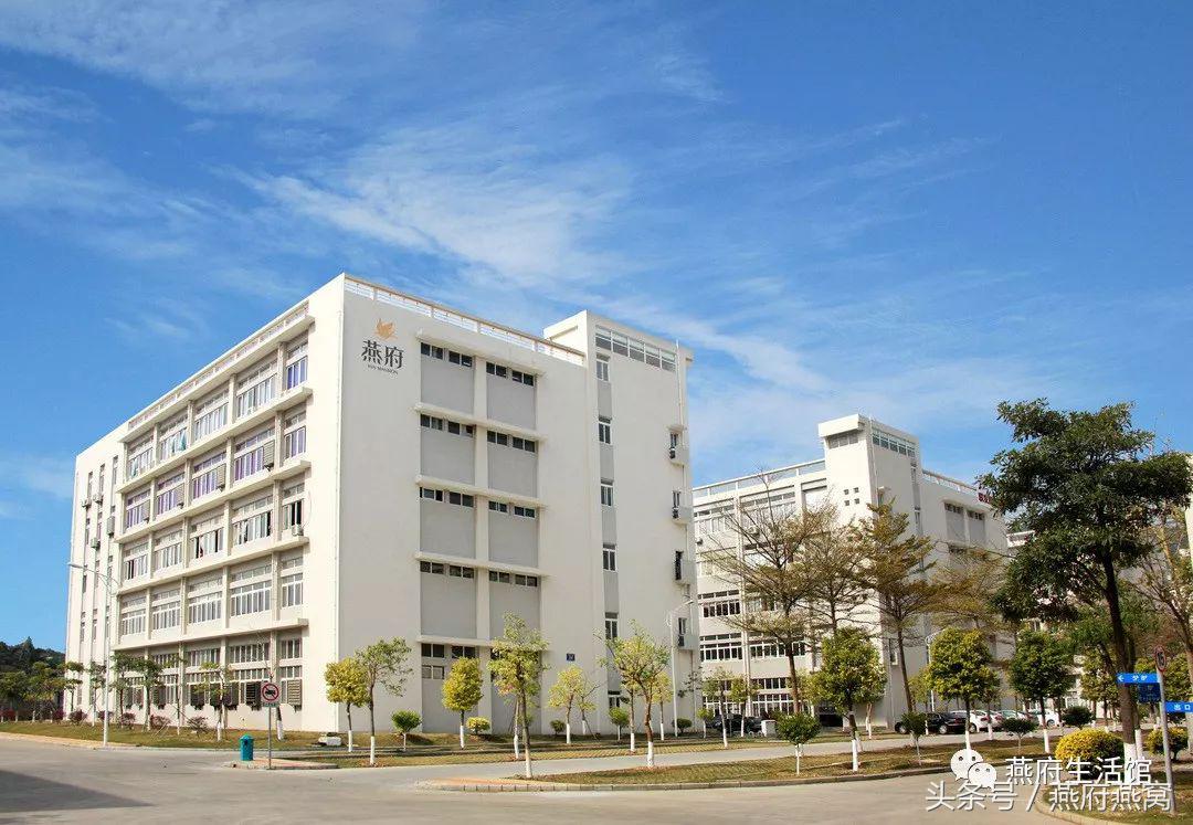 好燕窝是什么做的,好燕窝炖出来什么效果