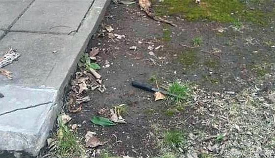 世界杯门将枪杀事件,阿根廷门将被刺真实视频