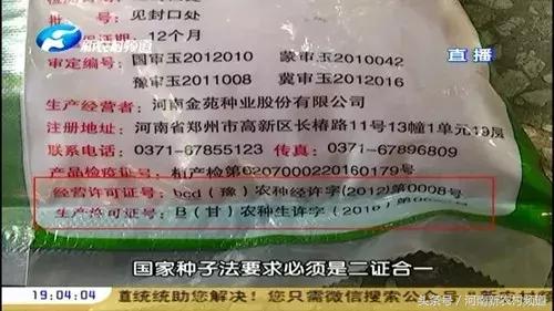 天天315商品,天天315玉米种介绍