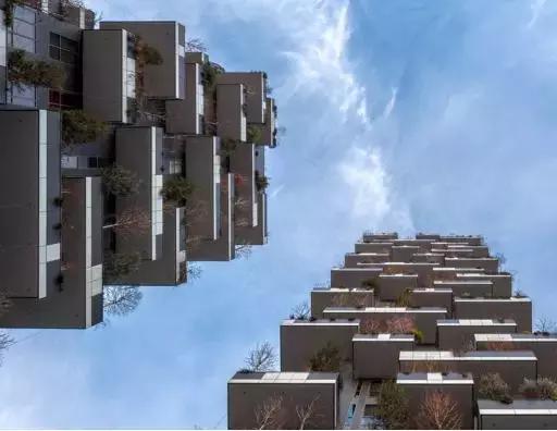 得了吧！除了瞎嚷嚷，你根本不懂什么是城市森林花园