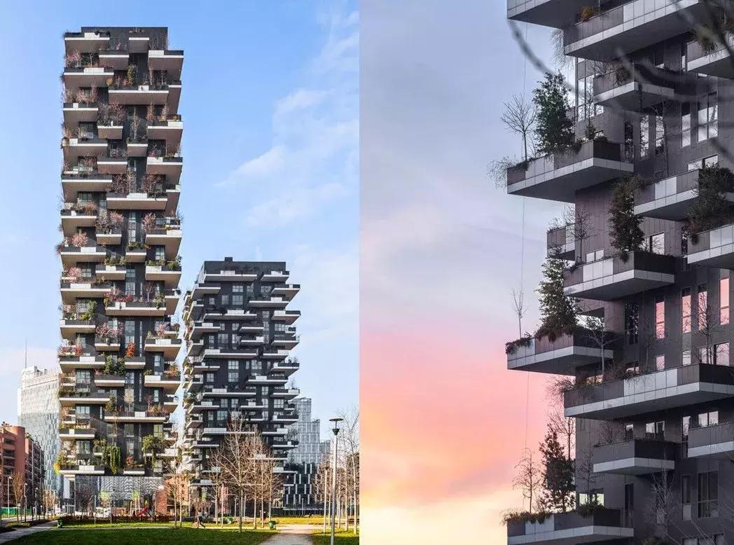 得了吧！除了瞎嚷嚷，你根本不懂什么是城市森林花园