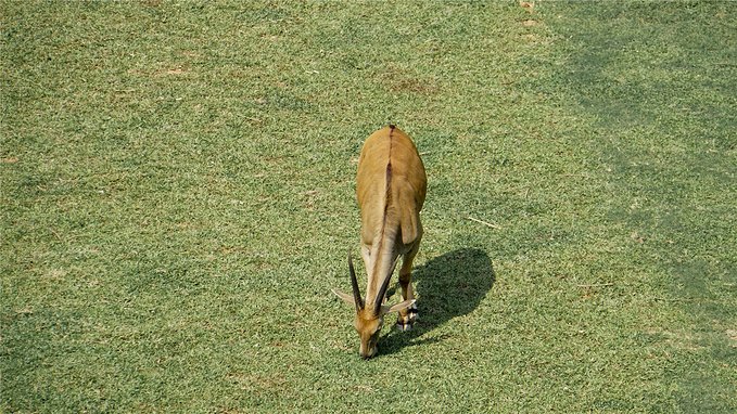 带小孩去长隆欢乐世界畅玩一天,暑假带娃去广州长隆野生动物世界