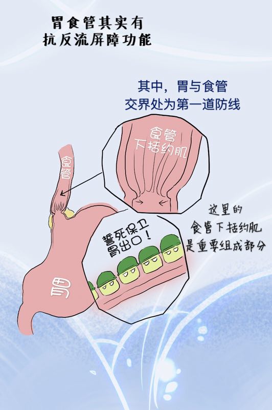 反酸烧心食管堵得慌是怎么回事,胃堵反酸烧心吃什么药