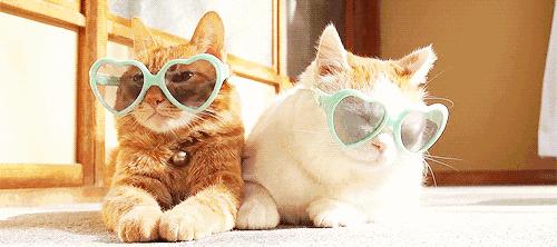 学生党必用的护肤品和彩妆 (好用的彩妆护肤产品良心推荐女生)