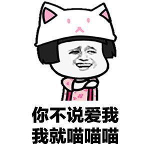 为救选票绿营官员“人仗猫势”遭轰：为私欲不在乎伤害*进党民**