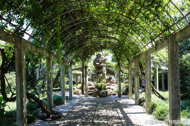 邂逅禅意，梦回江南，到无锡过一个“佛系”小假期