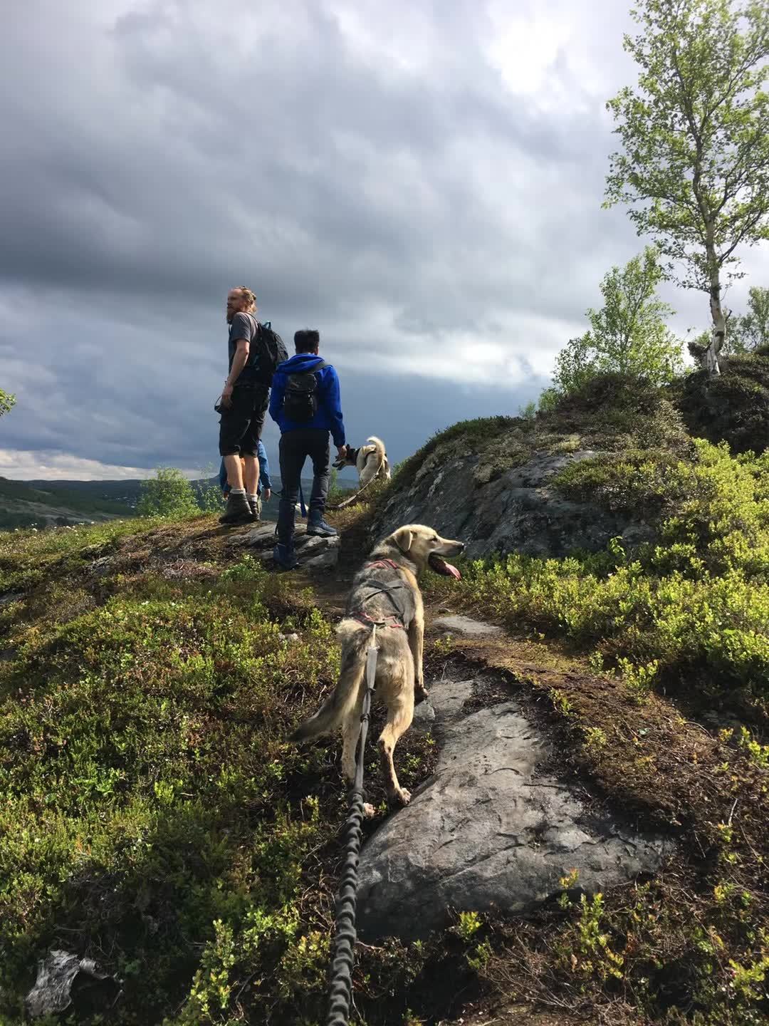 相片背后的光｜我与儿子的约定—《下篇》