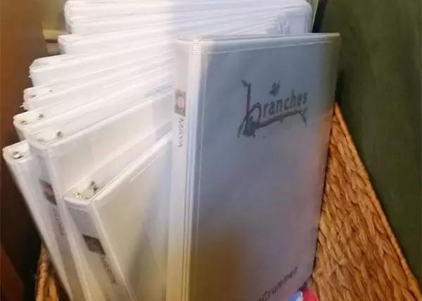 美国和中国幼儿园比较,中国幼儿园和美国幼儿园视频交流