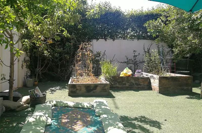 美国和中国幼儿园比较,中国幼儿园和美国幼儿园视频交流