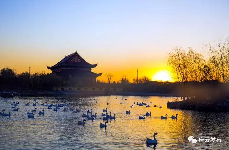 重奖十万元！庆云面向全球征集城市LOGO！