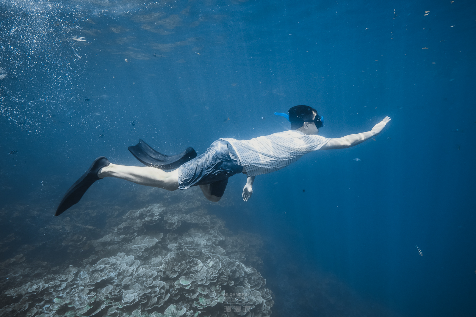 帕劳旅游攻略,帕劳自由行最佳路线