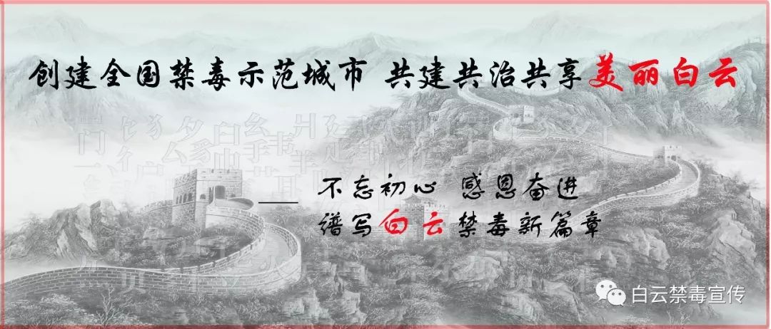 「无毒青春健康生活」几十名男女租游艇出海，没想到“翻船了”