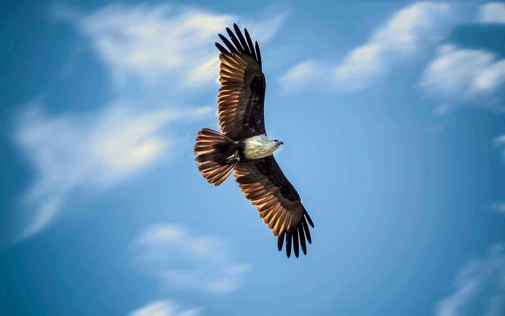 祝高考金榜题名的对联大全,高考对联七字带横批金榜题名