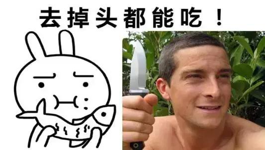 登山包怎么选,新驴登山包