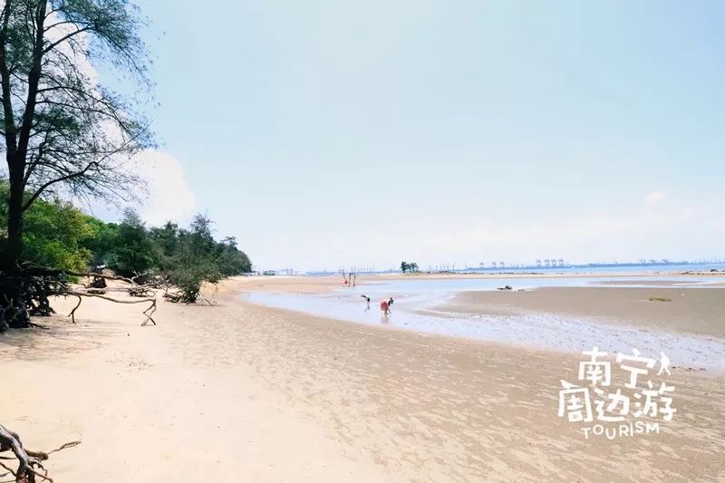 提醒吃海鲜的人们,广西开海节吃海鲜