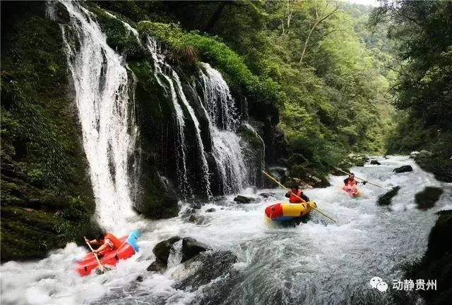 贵州杉木河漂流票价多少,贵州漂流前10名排行榜