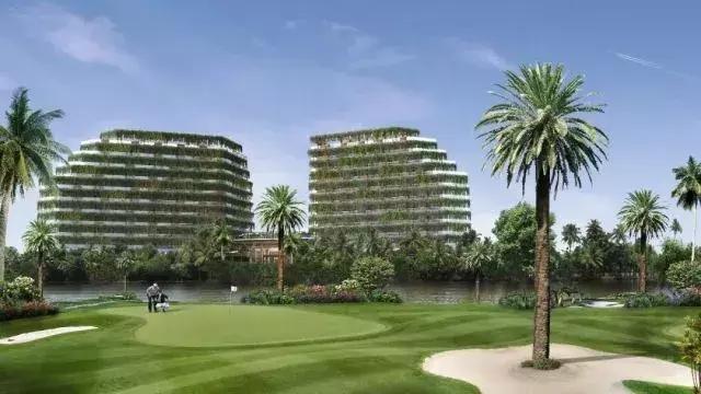 碧桂园森林城市投资了多少,碧桂园森林城市判决