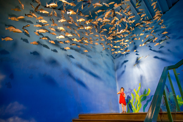 烂苹果乐园需要带什么,烂苹果乐园里有什么