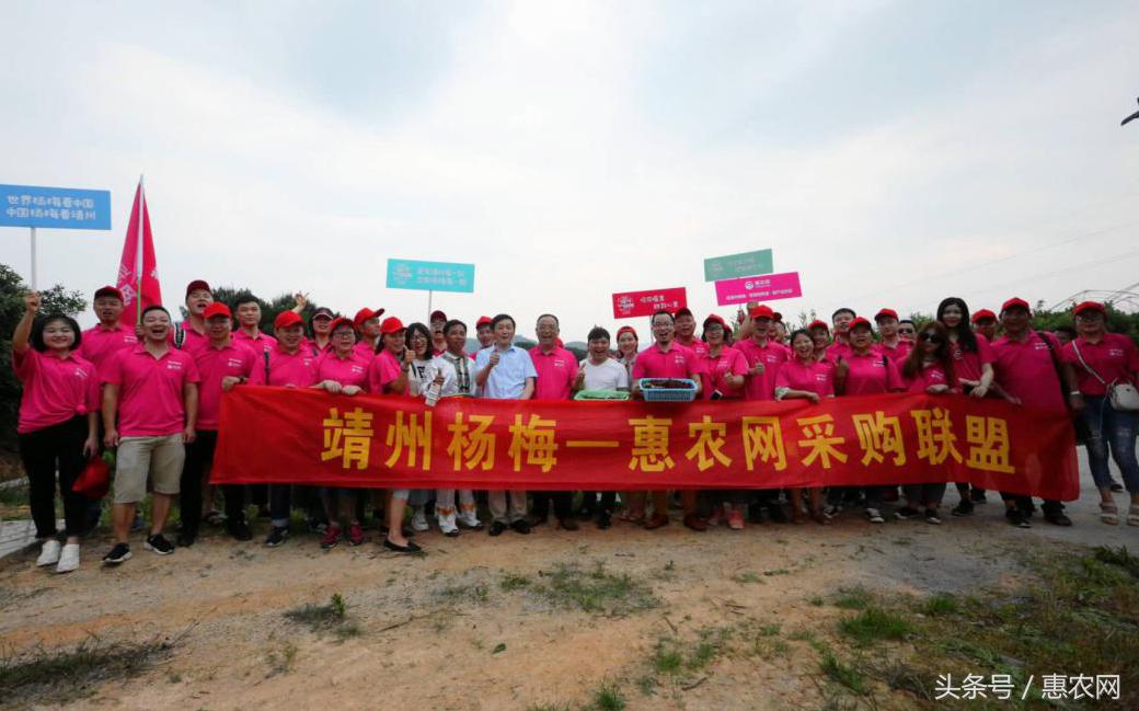 农业互联网的了解和认识,农业互联网发展问题及对策