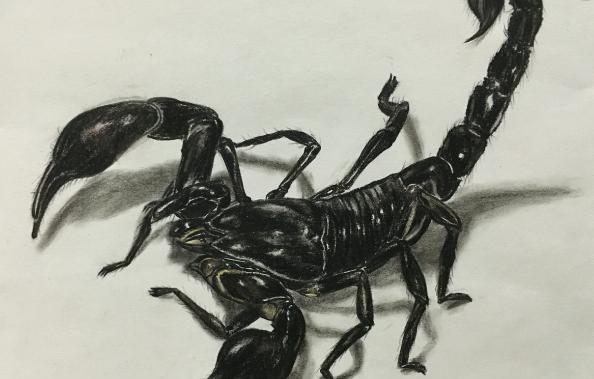 周公解梦梦到自己穷困潦倒,周公解梦梦到什么预示升官