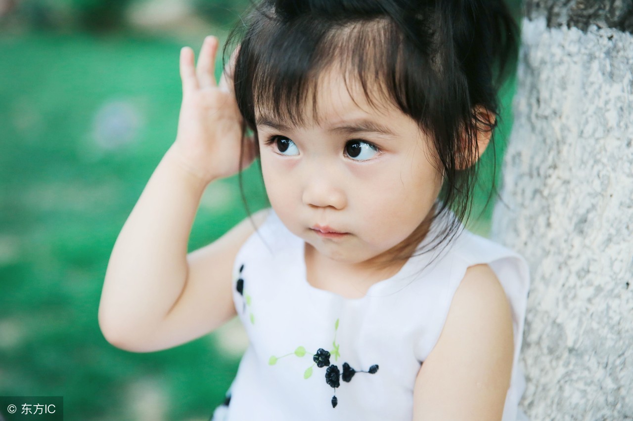 永和豆浆和永和豆奶区别,豆奶和豆浆有什么区别