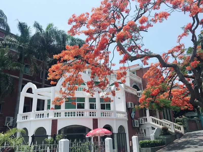 机票8.5折便宜多少,8月厦门机票