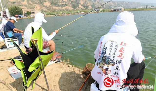 合阳洽川黄河湾,合阳钓鱼大赛